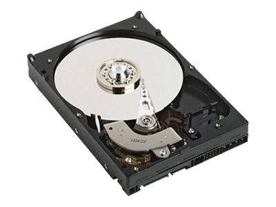 Dell Nearline - Harddisk - 1 Tb - Intern - 2.5" - Sas 6Gb/S - Nearline - 7200 Rpm - For Poweredge C6220, C8220, M820, R220, R320, R820, R920, T320, T