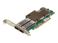 Broadcom Netxtreme E-Series P2100g - Nettverksadapter - Pcie 4.0 X16 Lav Profil - 100 Gigabit Qsfp56 X 2