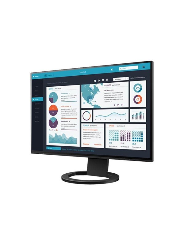 24,1" EIZO FlexScan EV2495-BK